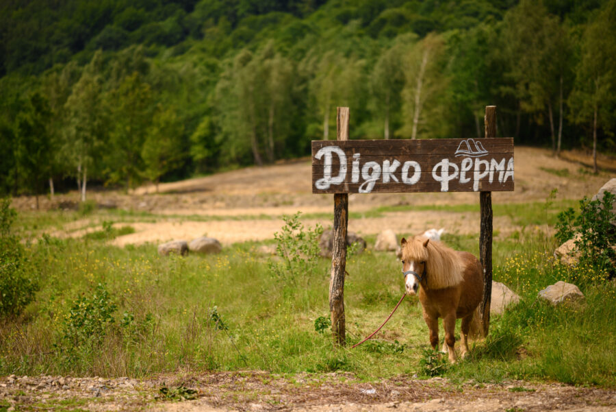 Дідко Ферма